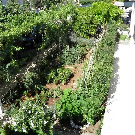 Mia Biograd 아파트 *