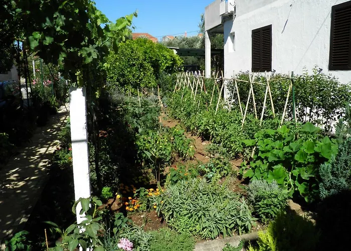 Apartamento Mia Biograd Biograd Na Moru